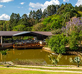 Valle das Palmeiras