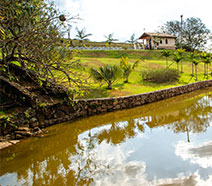Valle das Palmeiras