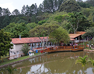Valle das Palmeiras